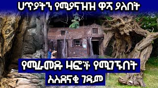 [አስደናቂ] - የሚራመዱ ዛፎች የሚገኙበት | ሀጥያትን የሚያናዝዝ ዋሻ ያለበት አስደናቂ ገዳም | Ethiopia @AxumTube