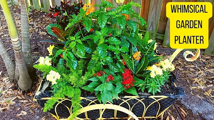 Planting a Whimsical Wheelbarrow Container // Growing Tropical