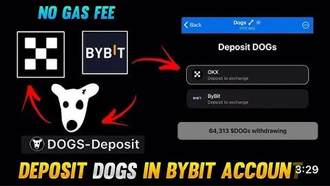 PROPER WAY TO WITHDRAW DOGS AIRDROP TO YOUR BYBIT EXCHANGE WALLET | HOW TO WITHDRAW DOGS COIN