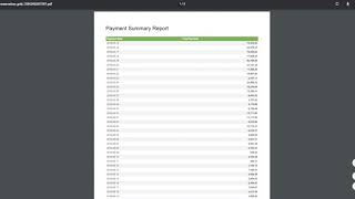 PitchCamp Payment Summary Report