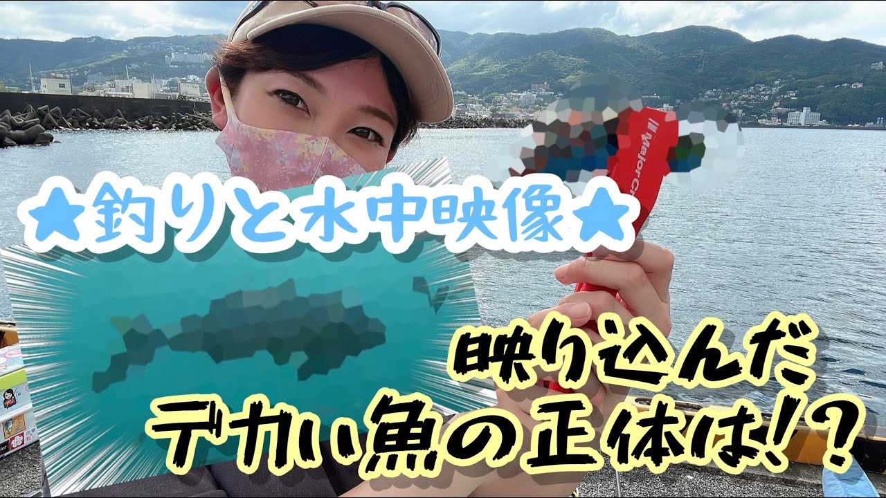 【伊東港】デカい魚に遭遇！魚種豊富な釣り場へ遠征～水中映像＆サビキ釣り～