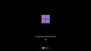 Windows Extracoral BD20