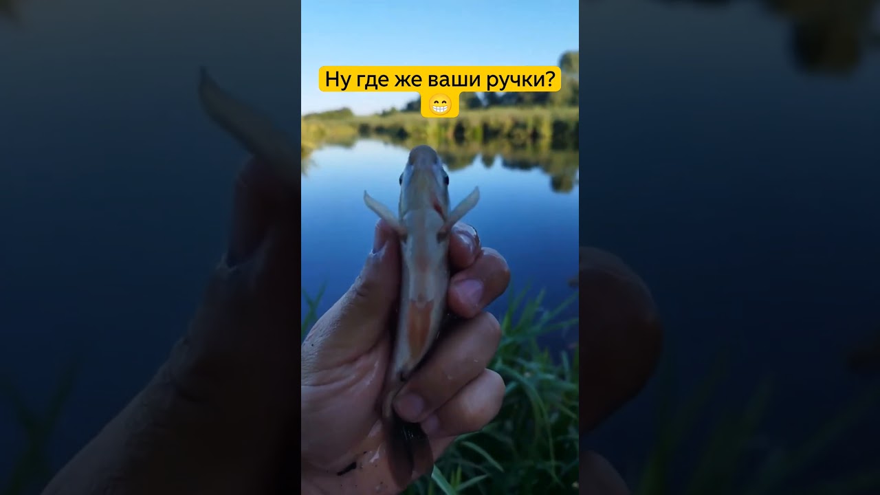 Поднимаем ручки вверх! 😁