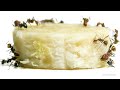 Ants Eating Banana Timelapse