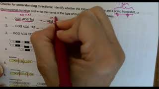 Mutations Notes Bio 1 Part 2
