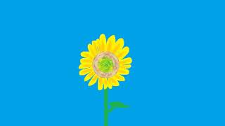 Details Post Malone, Swae Lee - Sunflower [Extended Mix] (Spider-Man: Into the Spider-Verse) Update