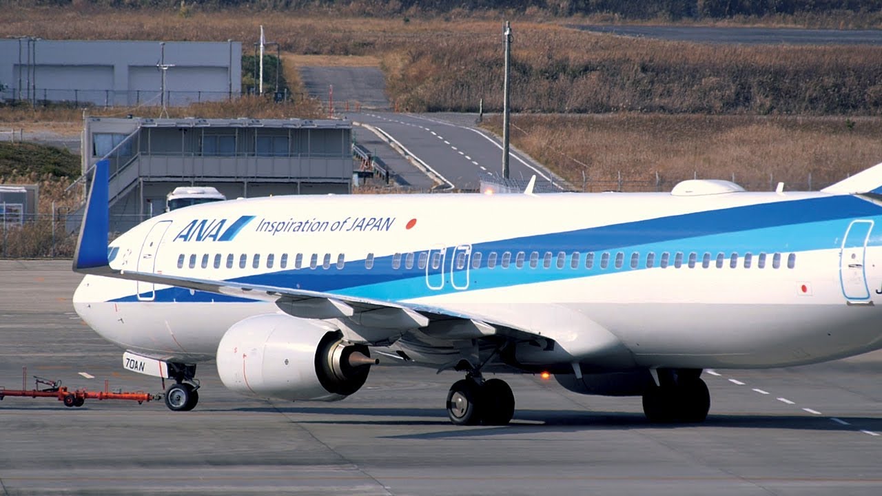 ANA Amazon | NGmodels 1:400 NG77026 ANA Boeing 737-700 JA06AN モデル