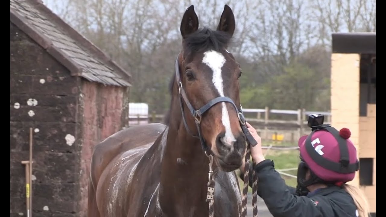 GRAND NATIONAL WINNER ONE FOR ARTHUR THE JOURNEY BACK HORSE RACING