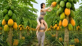 Harvesting Large Quantities of Papayas Pineapples and Dragon Fruit to Sell at the Village Market
