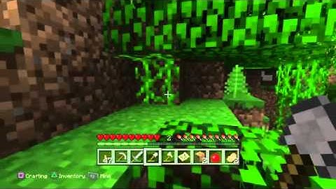 Minecraft Playstation 4 Edition Let