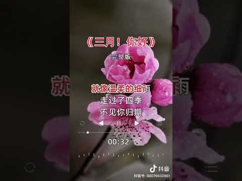 三月小雨