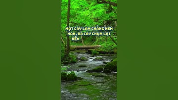 Một cây làm chẳng nên non, ba cây chụm lại nên hòn núi cao.#ChâmNgônTV #DanhNgônTV