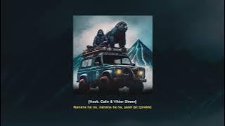 Calin & Viktor Sheen – ROADTRIP (Album) [Text]