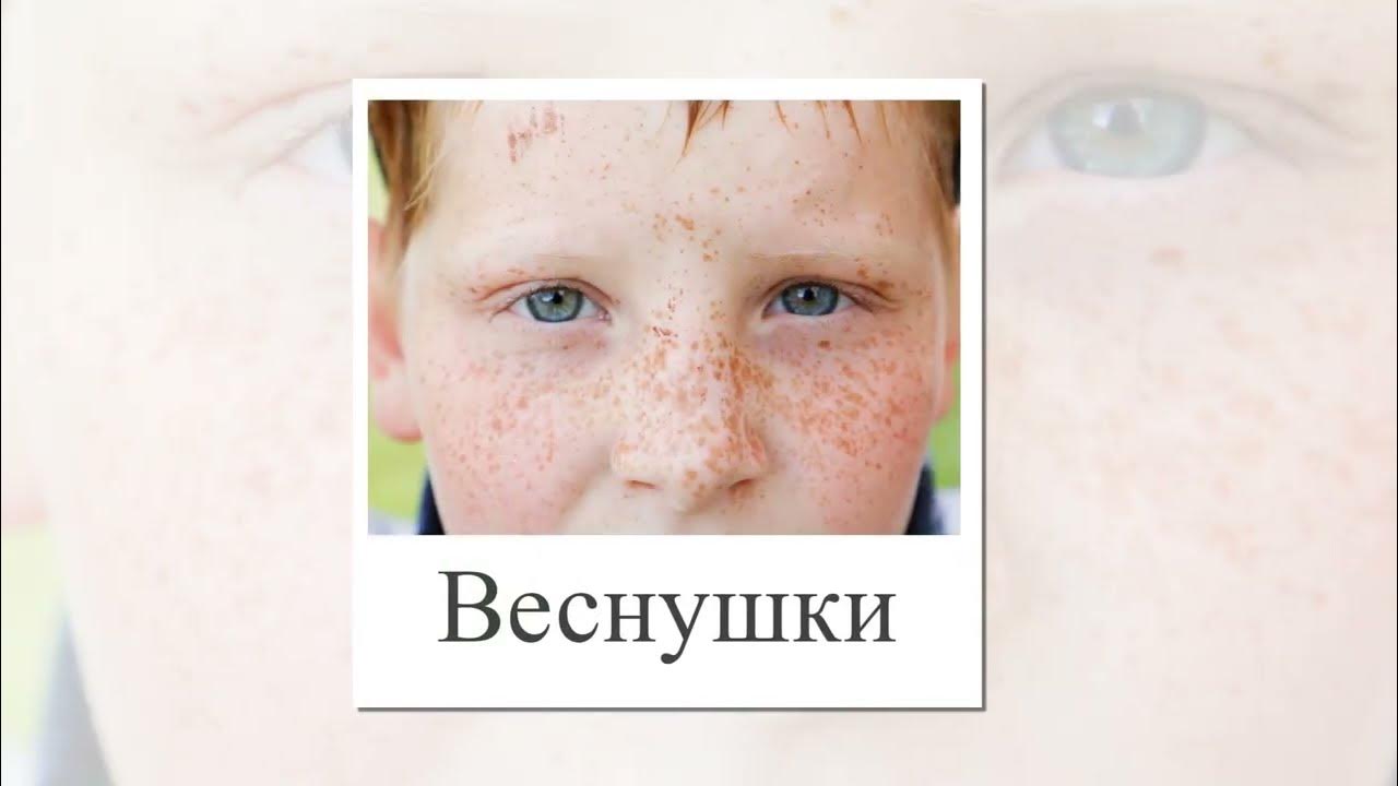 Весна презентация для детей. Карточки домана картинки и названия. - YouTube