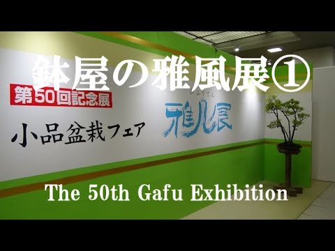 盆栽工房 春嘉 #325 【第50回雅風展】展示・商売の様子などを簡単に