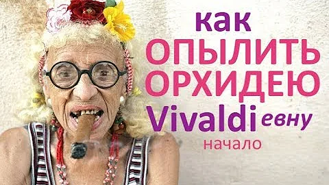 как ОПЫЛИТЬ ОРХИДЕЮ Vivaldiевну, начало
