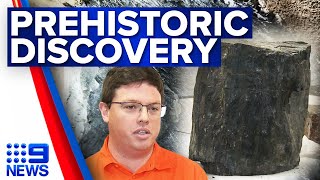 Prehistoric fossil dated 200 million years uncovered in Brisbane tunnel | 9 News Australia