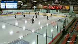 Stars and Stripes GM 1 - 2016 Jr. Walleye Orange vs. 2016 Fox Cities Bulldogs - 2026-05-01