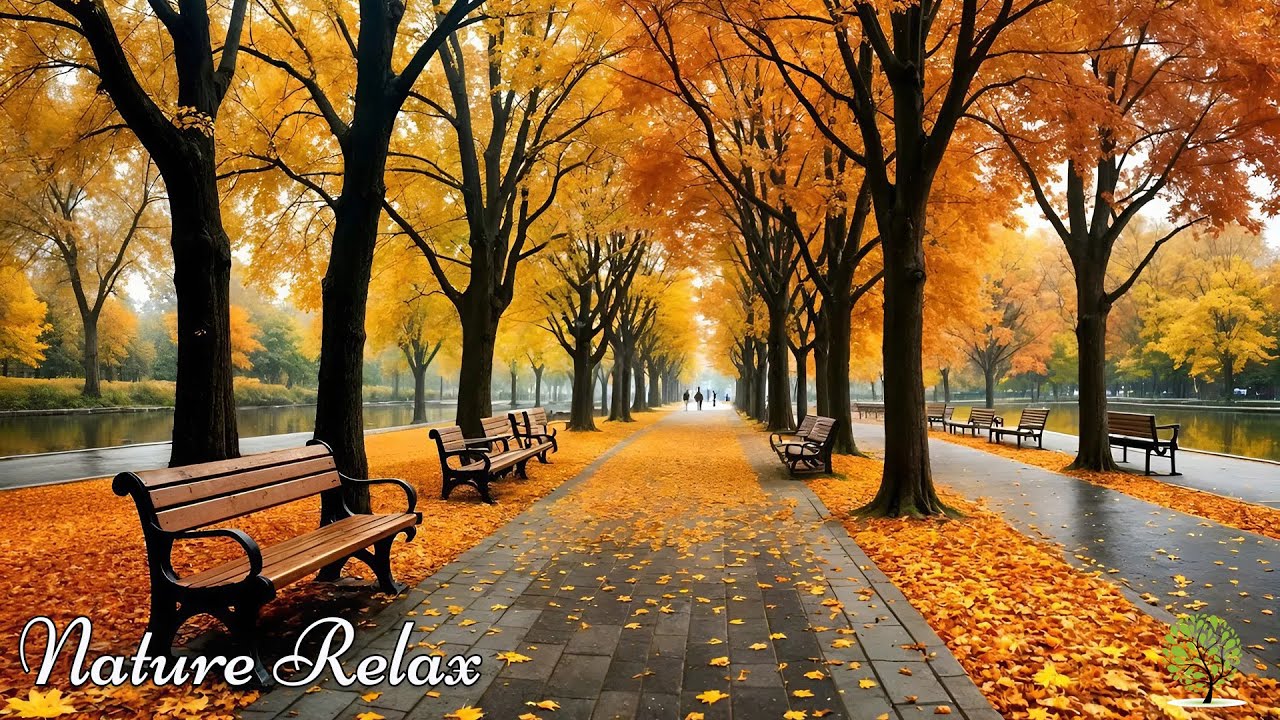 Great relaxing music🍁Nature melodies help reduce stress, heal the soul, stop overthinking & Healing