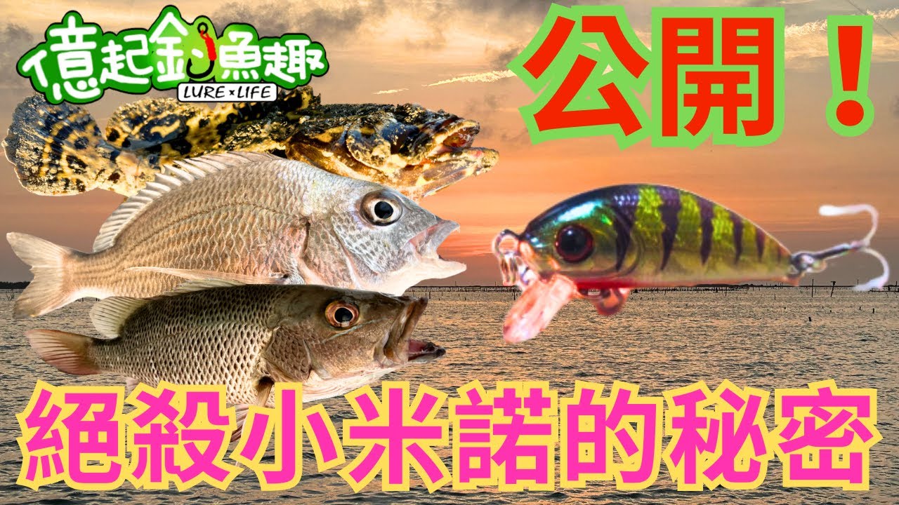 【億起釣魚趣】米諾教學：絕殺小米諾，平拖才是王道!#路亞 #根魚