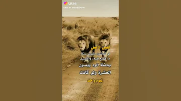 عبارة عن قليل الاصل لو تعاشره مليون سنه 