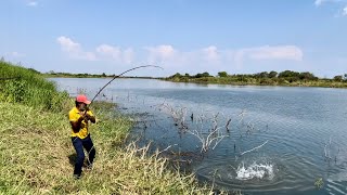 Best fishing video in manjeera river// catch big rogue fishes with single hook