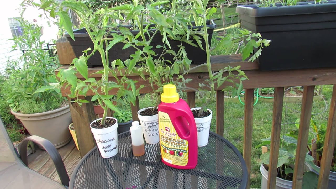 Using Garden Sprays (Not an Exciting Video but Important!): Test All