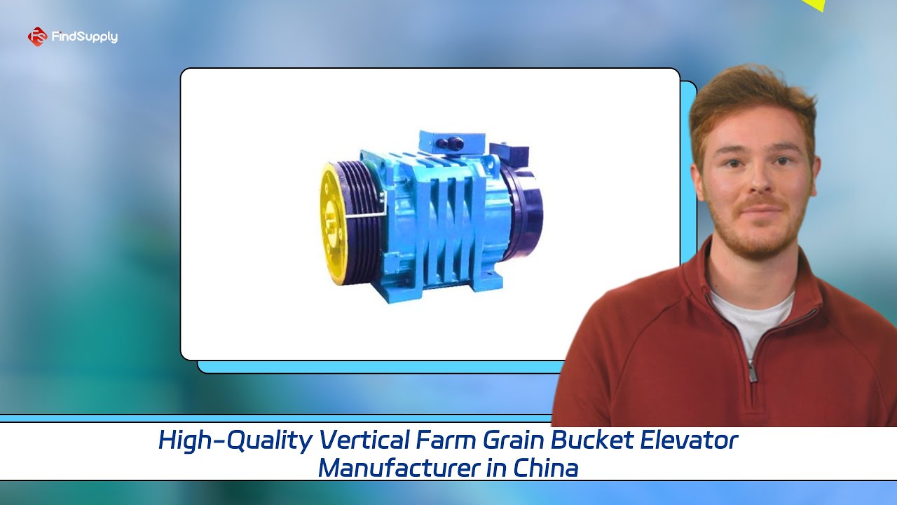 High-Quality Vertical Farm Grain Bucket Elevator Manufacturer in China