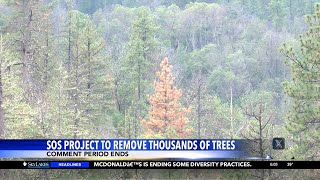Strategic Operations for Safety tree removal project public comment ends Monday