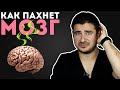 Как пахнет мозг? | Отвечаю на ваши комментарии #11 | Мамедыч