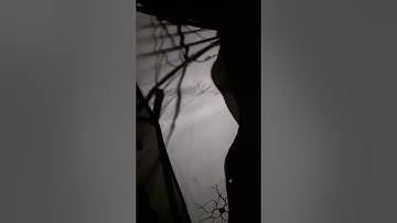 OXYMORONIC CRYPTO DECRYPTION DECLASSIFIED EYES ONLY INTEL CONTROL USED FOR WORLDWIDE PEACE VIOLENCE