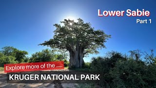 Game Park, Kruger National Park, Lower Sabie, Part1..the area where wild animals love to enjoy water