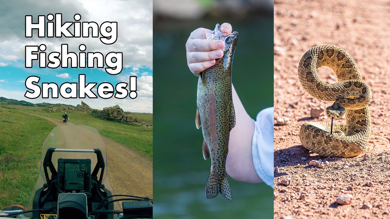 ADV Ride to Duck Creek Falls Awesome Fishing, Lotsa Snakes! YouTube