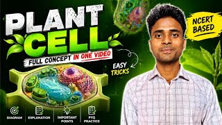 Plant Cell Explained 🌿 | Plant Cell Structure &amp; Functions in Hindi | Class 11 Biology