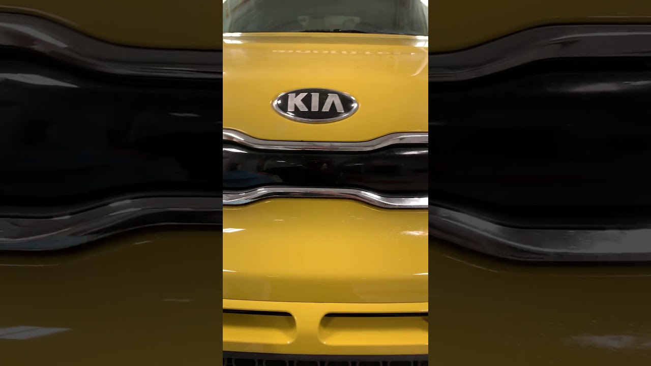 PremiumShield Bug Remover Spray Demo