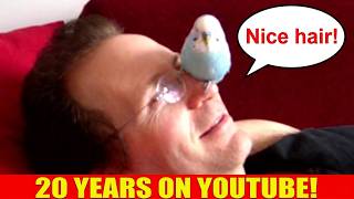 It's my 20th anniversary on youtube - Long live the HAIRPIECE! screenshot 2
