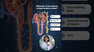 Re-NEET UG Biology important questions