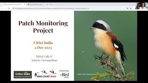 The Patch Monitoring Project: Insights from systematic monitoring at local birding ‘patches’ –Mittal