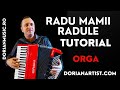 🎹 Tutorial Orga și Acordeon – Cum cânți „Radu Mamii Radule” | Muzică Folclor Românesc