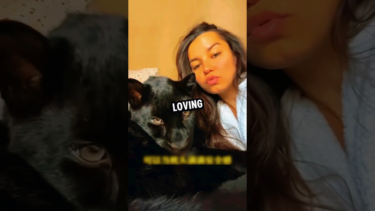 This woman was shocked after rescuing a black kitten 🥹💕 