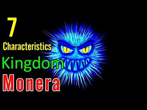 Kingdom Monera : Characteristics of Kingdom Monera with Examples.