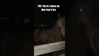Happy New Year! 😅   #shorts #equestrian #horse