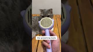 The Ultimate Furball Solution: Introducing the Cat Grooming Brush!