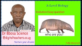 Evolution Essay question (A-level)