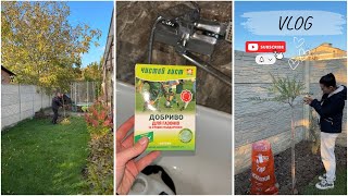 видео: Осенняя уборка во дворе✅🧹Готовим газон к зиме❄️ картинка: Осенняя уборка во дворе✅🧹Готовим газон к зиме❄️