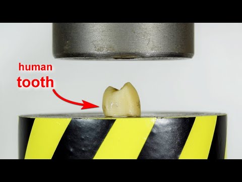 TOP 6 BEST HYDRAULIC PRESS VIDEOS