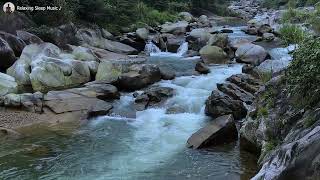 Slow Your Thoughts Tonight | Soft Piano with Nature Stream for Calm and Emotional Balance screenshot 5