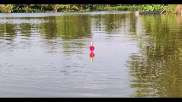 Cần đơn lắp lưỡi câu lục ra sông câu rô phi và cái kết | câu cá giải trí