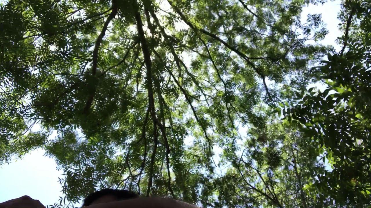 camera iphone 8 plus apk My favorite sound from my beach ball