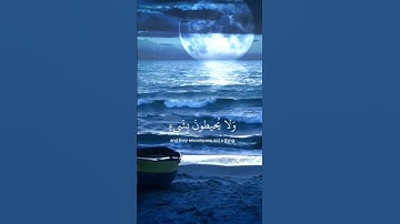 تلاوة هادئة لاية الكرسي 🤲❤️بصوت اسلام صبحي #الله #القرآن_الكريم #آيات #تلاوة_خاشعة #اسلام_صبحي